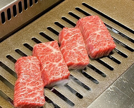 Dinner at USHIGORO S. GINZA (USHIGORO S. GINZA)