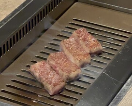 Dinner at USHIGORO S. GINZA (USHIGORO S. GINZA)