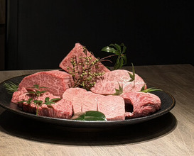 Dinner at USHIGORO S. GINZA (USHIGORO S. GINZA)