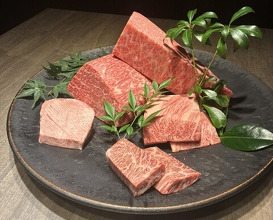 Dinner at USHIGORO S. GINZA (USHIGORO S. GINZA)