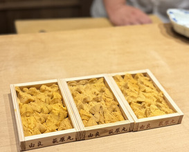 Dinner at Tominokoji Yamagishi