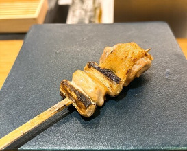 Dinner at Tori Yamamoto (とり やまもと)