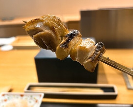 Dinner at Tori Yamamoto (とり やまもと)