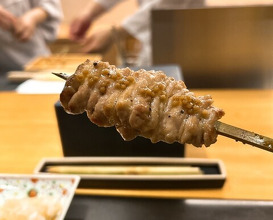 Dinner at Tori Yamamoto (とり やまもと)