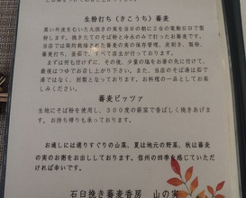 Dinner at Ishiusuhiki Soba Kobo Yama no Mi (石臼挽き蕎麦香房 山の実)