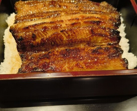 Dinner at Yamasei (山勢)