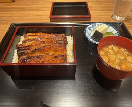 Dinner at Yamasei (山勢)