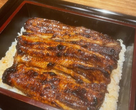 Dinner at Yamasei (山勢)