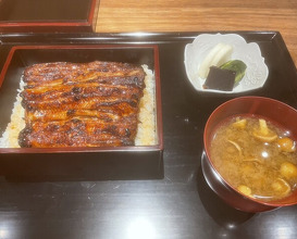 Dinner at Yamasei (山勢)