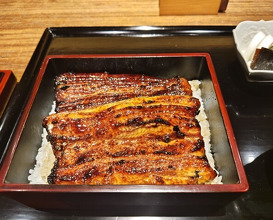 Dinner at Yamasei (山勢)
