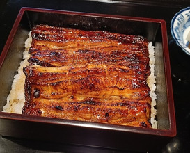 Dinner at Yamasei (山勢)