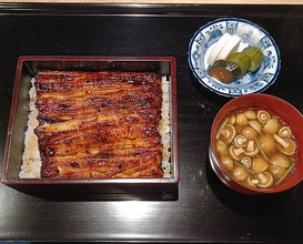 Dinner at Yamasei (山勢)