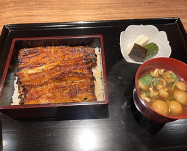 Dinner at Yamasei (山勢)