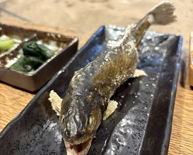 Dinner at Yanagiya (柳家)