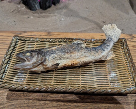 Dinner at Yanagiya (柳家)