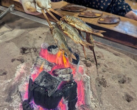 Dinner at Yanagiya (柳家)