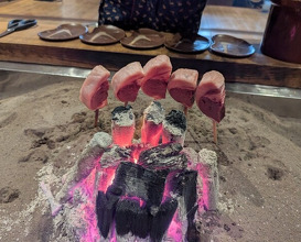 Dinner at Yanagiya (柳家)