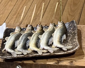 Dinner at Yanagiya (柳家)