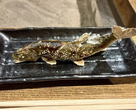 Dinner at Yanagiya (柳家)