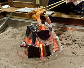 Dinner at Yanagiya (柳家)