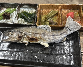 Dinner at Yanagiya (柳家)
