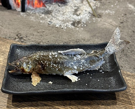 Dinner at Yanagiya (柳家)