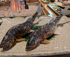 Dinner at Yanagiya (柳家)