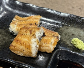 Dinner at Yanagiya (柳家)
