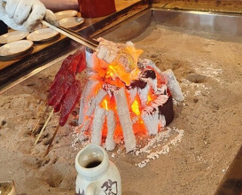 Dinner at Yanagiya (柳家)