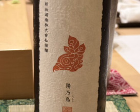 Dinner at Sushi Yasumitsu (鮨 やすみつ)
