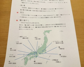 Dinner at Yonemasu (米増)
