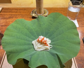 Dinner at Higashiyama Yoshihisa (東山 吉寿)