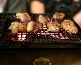 Dinner at Sumibi Yaki Yuji (炭火焼 ゆうじ)