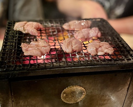 Dinner at Sumibi Yaki Yuji (炭火焼 ゆうじ)