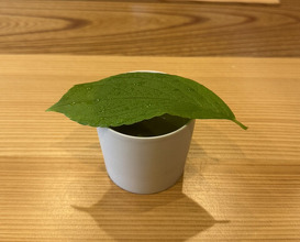 Dinner at Yukimoto