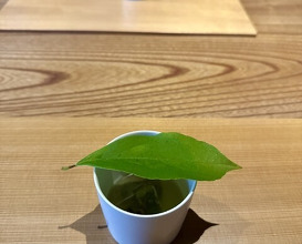 Dinner at Yukimoto