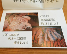 Dinner at Yukimoto