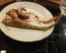 Dinner at Azabu Yukimura (麻布 幸村)