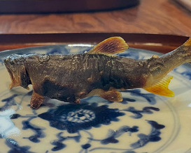 Dinner at 松川