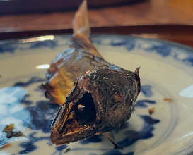 Dinner at 松川