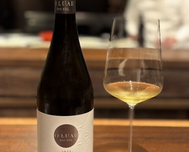 Dinner at acá