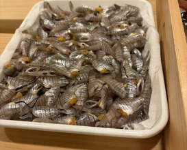 Dinner at Akakichi