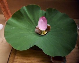 Dinner at Kikunoi (赤坂 菊乃井)