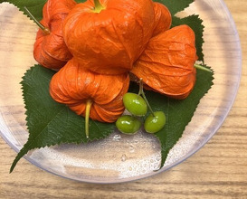 Dinner at Kikunoi (赤坂 菊乃井)