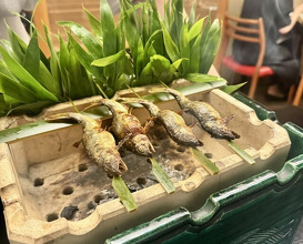 Dinner at Kikunoi (赤坂 菊乃井)