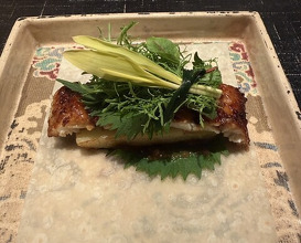 Dinner at Narayamachi Ao (奈良屋町 青)