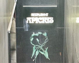 Dinner at APICIUS