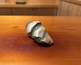 Dinner at Sushi Arai