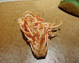 Dinner at Tempura Araki(Sapporo)