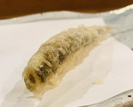 Dinner at Tempura Asanuma (天ぷら浅沼)